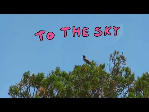 To the Sky Visualizer