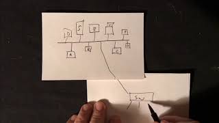 What Does a Network Switch Do?