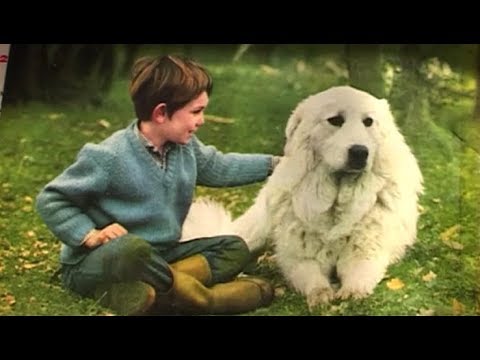 Cécile Aubry et Mehdi parlent du chien Flanker | Belle et Sébastien