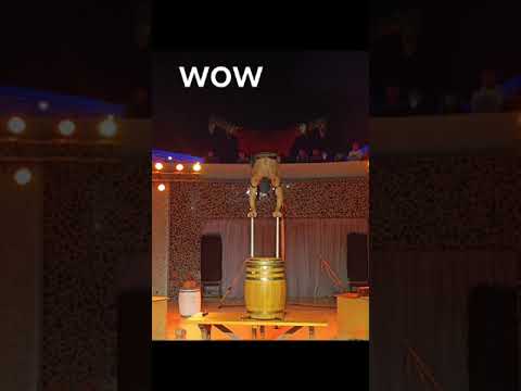 Vlog2 day2 in the resort #fun #travel #vacation #beach #holiday #duotrip