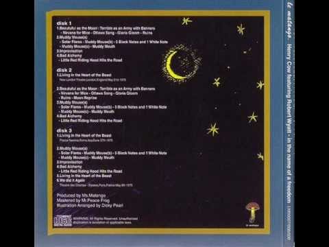 Henry Cow Featuring Robert Wyatt - We Did It Again