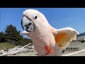 The First Beach Trip Of 2025
