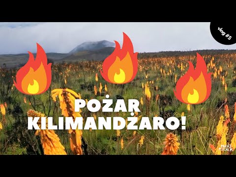 Wyprawa do Tanzanii - Pożar Kilimandżaro i Horombo Hut #5