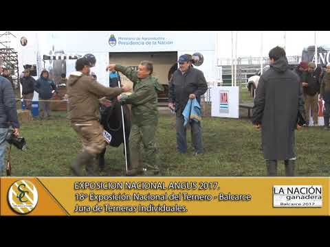 20-09-17 Jura Hembra Individual - La Nación Ganadera - Balcarce