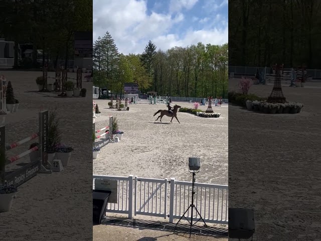 Jument 13 ans par Casall pour CSI children 