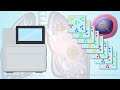 Understanding Next Generation Sequencing And Comprehensive Genomic Profiling For Lung Cancer