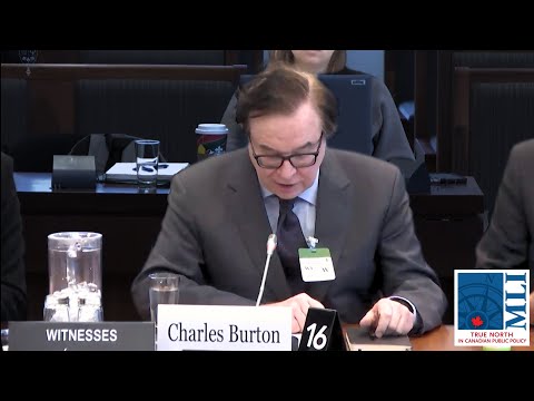 CDN response to Chinese interference? Pathetic and ineffective. / Charles Burton, MLI in Parliament