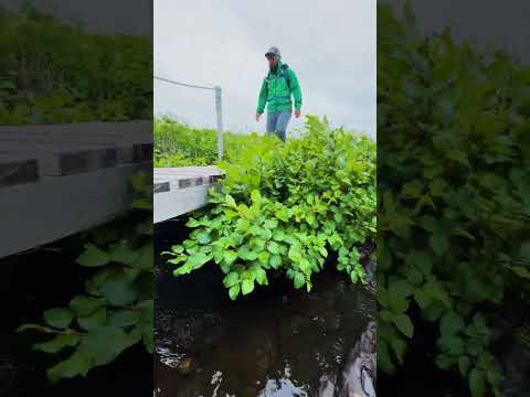 Discover The Great Northern Trail Association