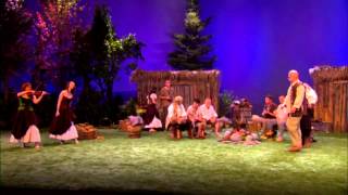 Storm -  &#39;Life in the Old Dog Yet&#39;