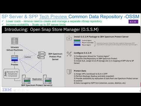 IBM Spectrum Protect and Plus OSSM install – Demo