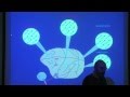 Lec 11: The neural control of visually guided eye movements 2