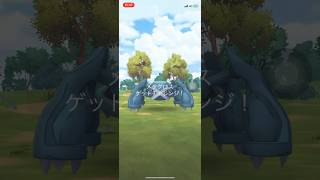 ポケモンGOレイドバトルメタグロスゲットできたかな？ #ポケgo #pokemongo #ポケモンgo #pokemon #ポケゴー #ポケモン #shorts#short #メタグロス