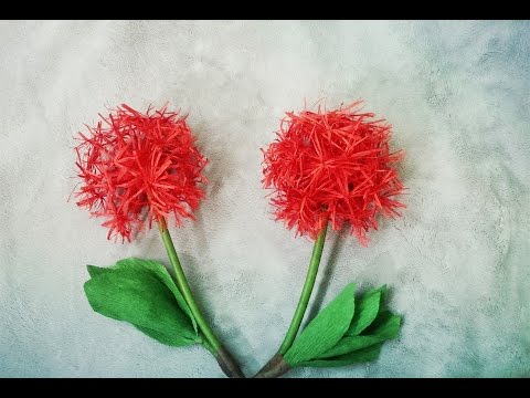 ABC TV | How To Make Blood Lily Flower From Crepe Paper - Craft Tutorial