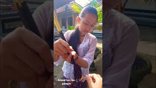 Download lagu selamat hari raya galungan mp3 Download lagu selamat hari raya galungan mp3