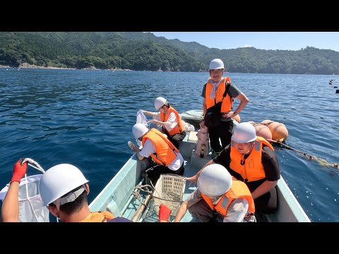 海洋生命科学科 2023年度 海洋実習（三陸）
