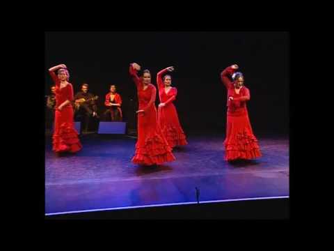 Flamencostudio Maria Rosa: Alegrias-Silencio