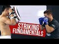 Boxing (Striking) Technique Fundamentals with Professional Fighter