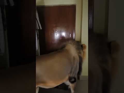 #funny #haveitoldyoulatelythatiloveyou #comedyfilms #lifeisbutadream