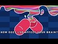 What Does LSD Do To Your Brain? | Earth Science