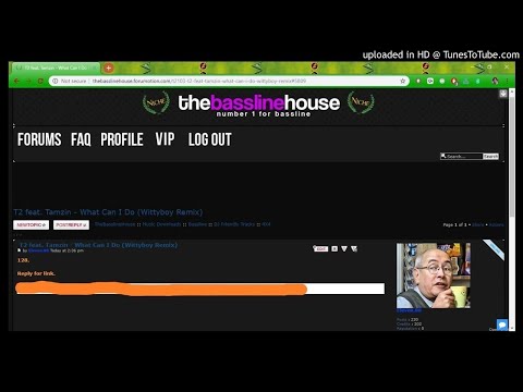T2 feat. Tamzin - What Can I Do (Wittyboy Remix) *Bassline / 4x4 / Niche*