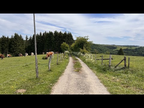 Stoneman Arduenna 2022