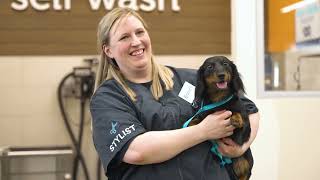 Petco | Dog Trainer Job Preview