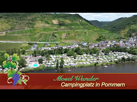 Camping Mosel Wunder Pommern - From €15.- incl. showers, toilets, swimming pool & waste disposal!