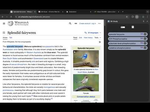 Item video thumbnail