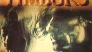 Timbuk 3 - Two Medicines