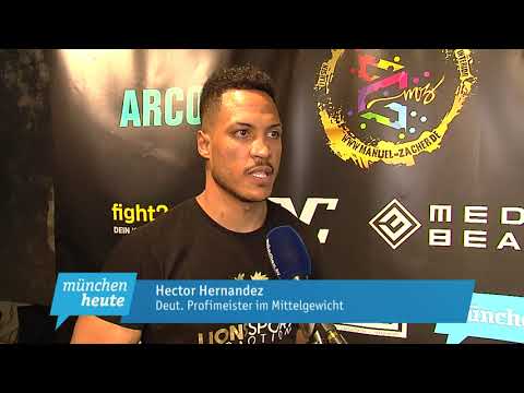Profiboxen – Lokalmatadoren um Deutschen Meister Hector Hernandez und EBU-Champion Emre Cukur stie