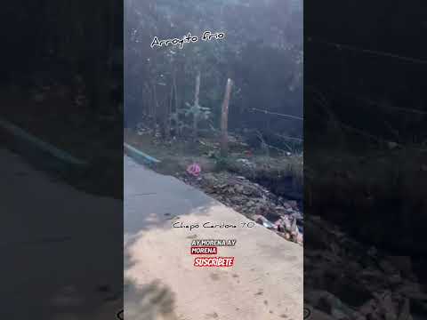 Esto es Turbaco Bolívar- las salidas que tiene un ❤️🎶 #turbaco  #vallenato