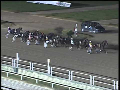 Trotto 02/11/2014 - 7° corsa