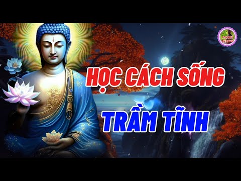 Học Cách Sống Trầm Tĩnh - Tâm Trí Giống Như Nước Khi Hỗn Loạn Khó Nhìn Thấu Khi Tâm Tĩnh Sẽ Rõ Ràng