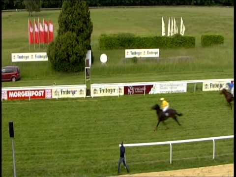 Galopprennbahn Dresden - 17.05.2014 - 7.Rennen