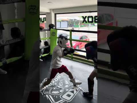 2 Round – Tejón de la miel vs Coque  🥊 Escuchen la fuerza 💪🏻