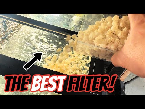 The Best Filter for Fish Tanks - Setting Up an Aquarium Sump