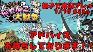 【現在のお宝＆ネコ】ふたりでにゃんこ大戦争【親子実況】【Part23a】