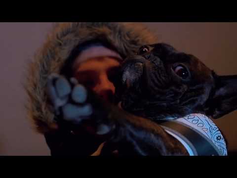 B.GEORGE - Donald Trappo NoFree-Style (prod. Ennell) - OFFICIAL VIDEO