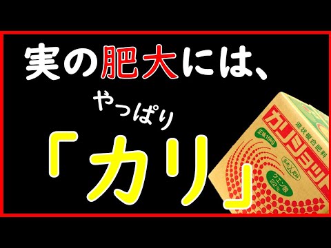 天然肥料としての菜園用マルチ 2022