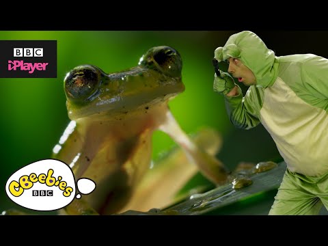 Andy's Aquatic Raps | Frog Hopping | CBeebies