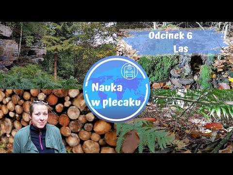 Las i jego warstwy - Luksemburg