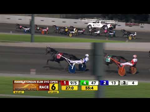 August 1, 2020 Hambletonian Elimination 1