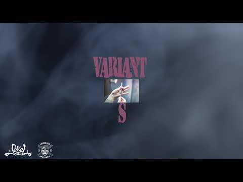 Sekel du 91 - Variant S