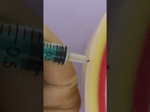 ATA 2022 - Bee Stinger Updates!