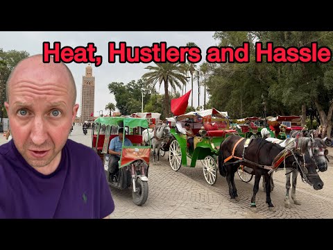 Complete Travel Chaos Or A Bargain Luxury Break?