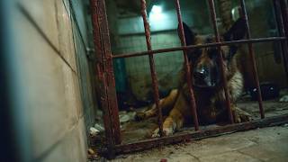 O Que Significa Pertencer? 💞 Drama Emocionante | Completo