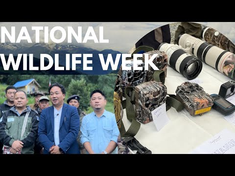 Observing👏 National wildlife Week with 11th edition of Nature Camping at Shergaon .#nature #wild