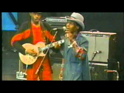 Junior Wells - Messin' With The Kid - Woodlands Blues Fest - Texas (1993)