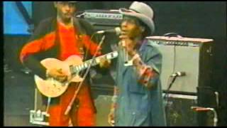 Junior Wells - Messin&#39; With The Kid - Woodlands Blues Fest - Texas (1993)