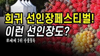 경기도농기원, 제19회 선인장페스티벌 개최